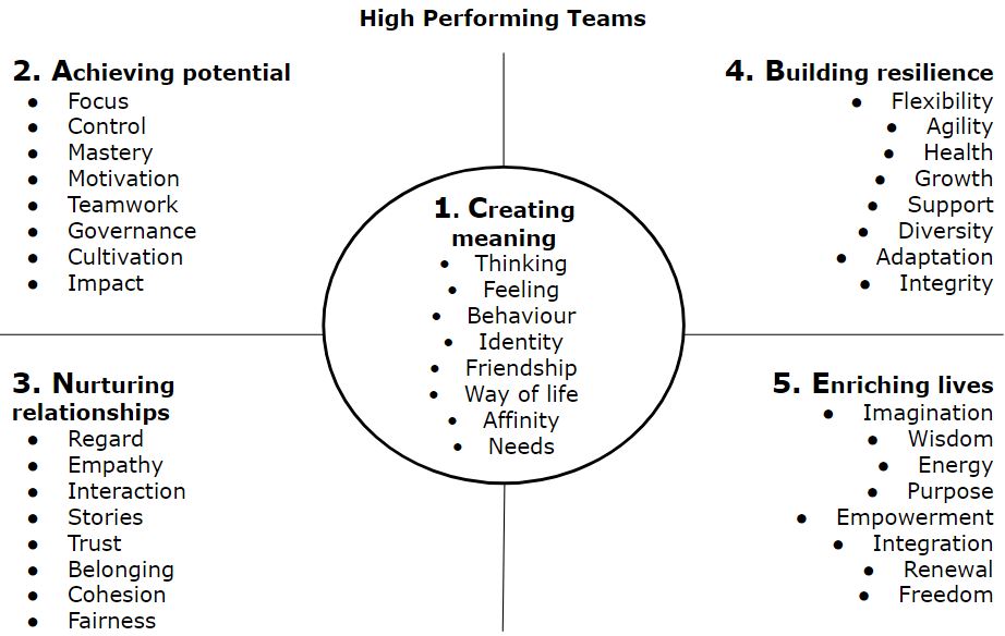 The CANBE Wellbeing Model applied to team performance